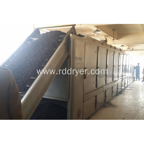 Particle feed mesh belt dryer